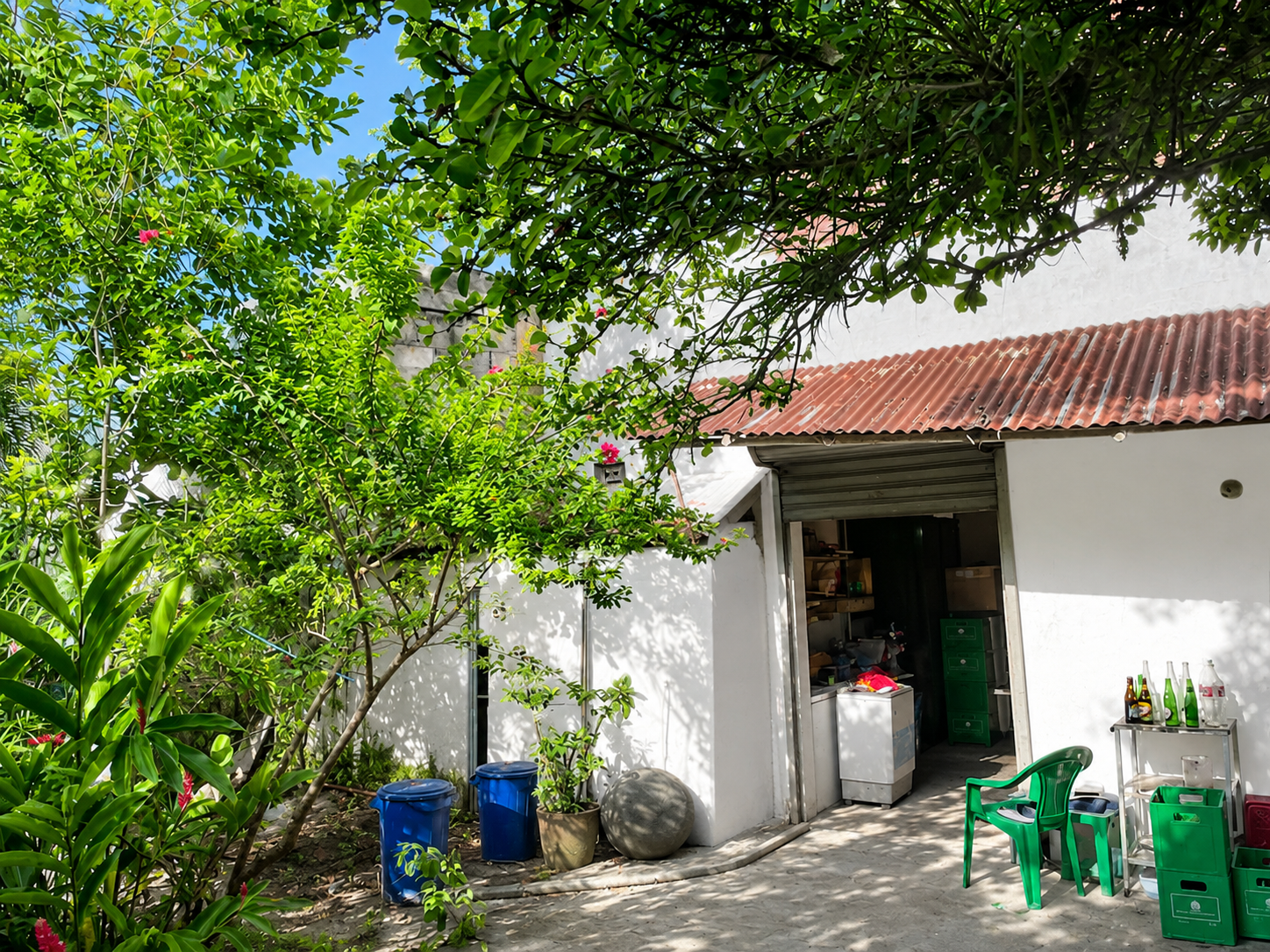 Listing image 4