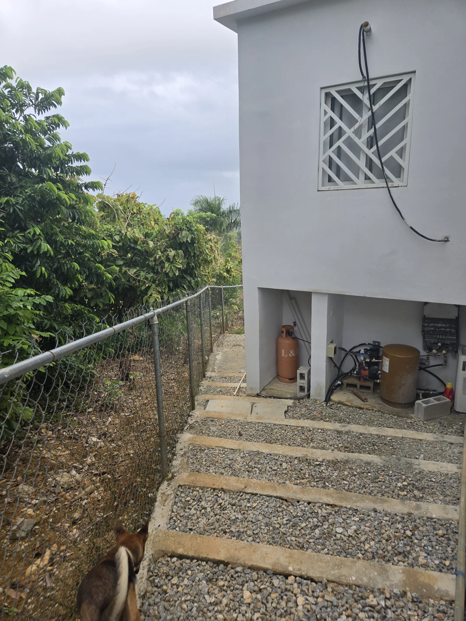 Listing image 17