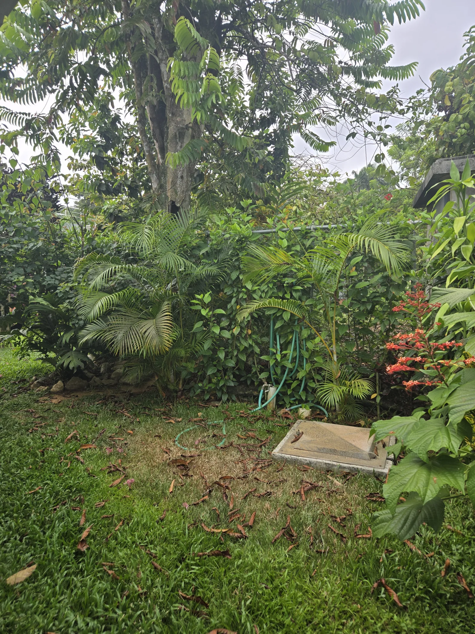 Listing image 18