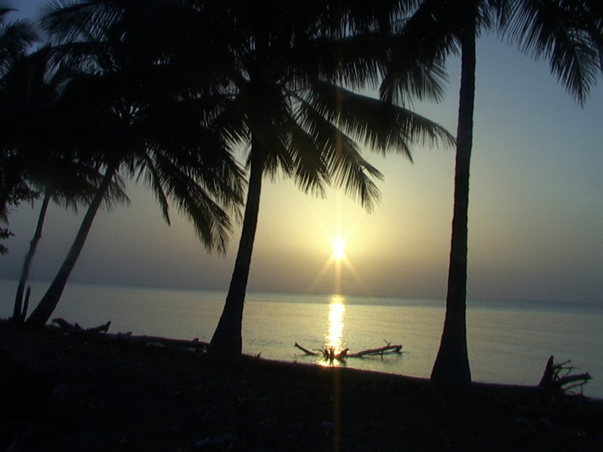 Listing image 6