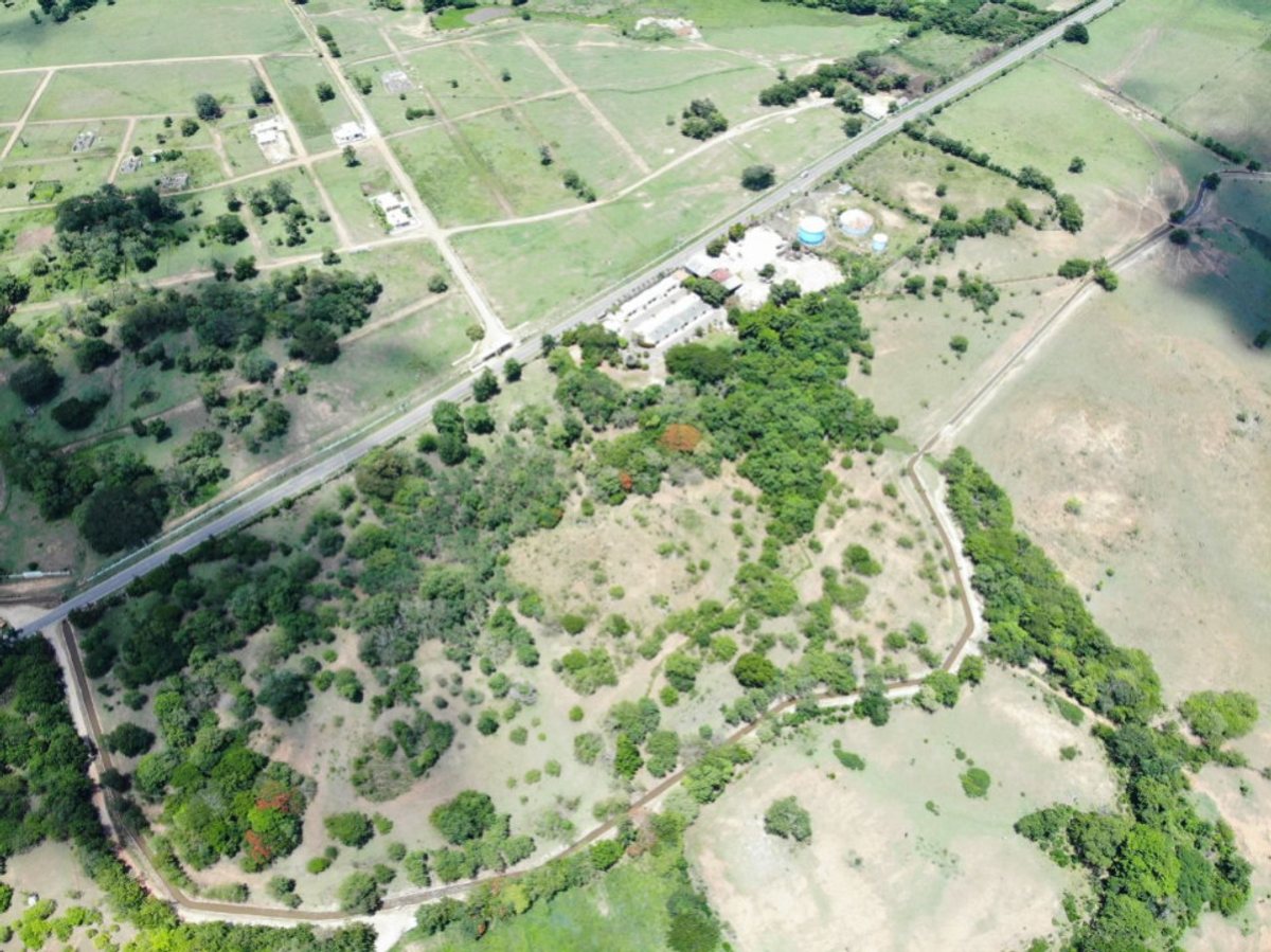 Listing image 1