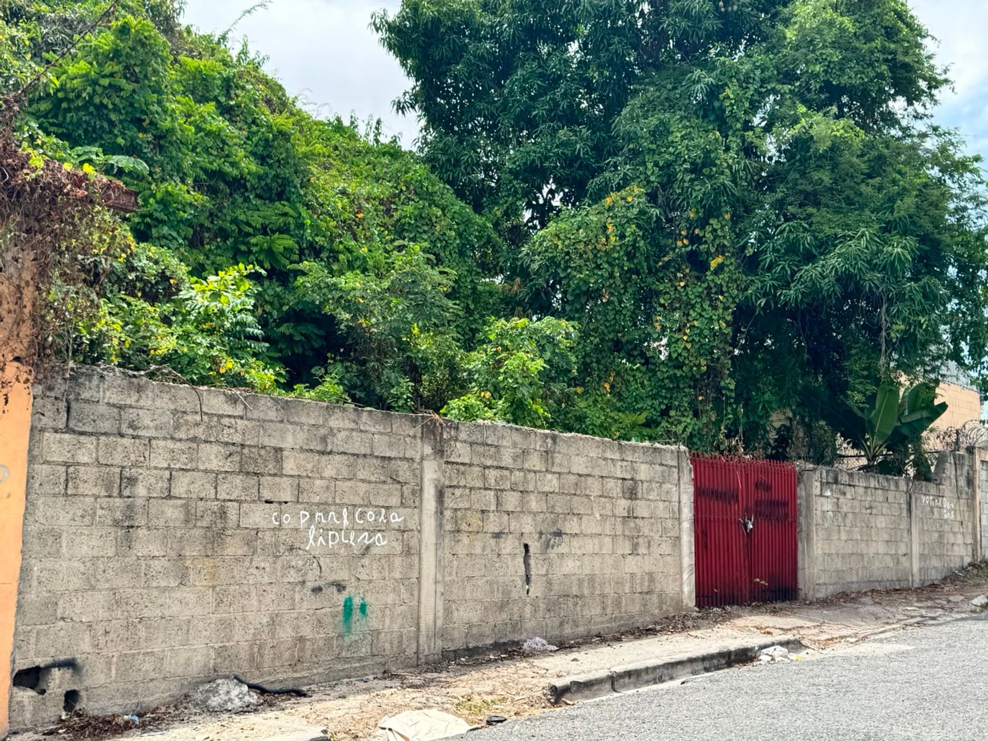 Listing image 2