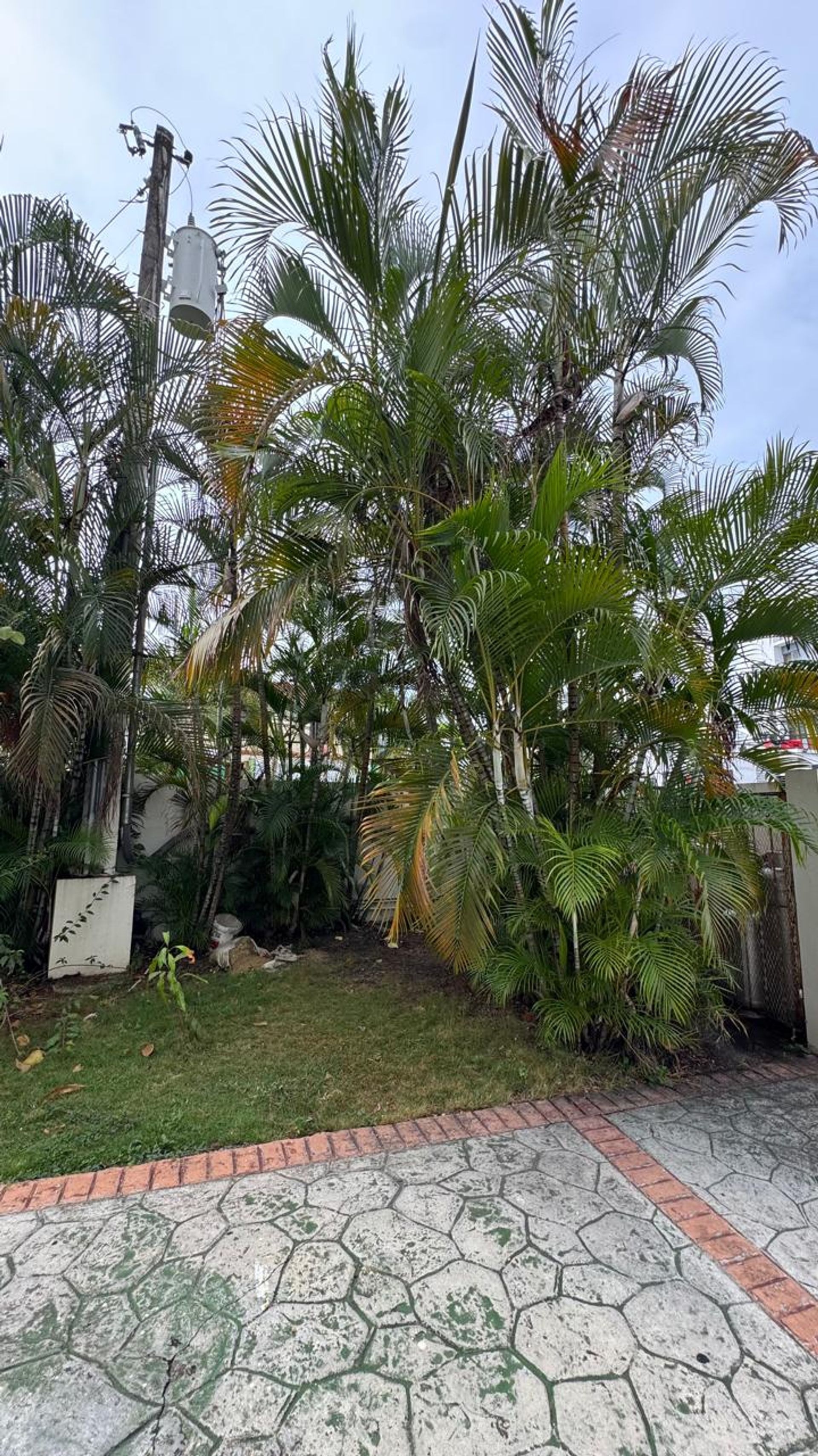Listing image 11