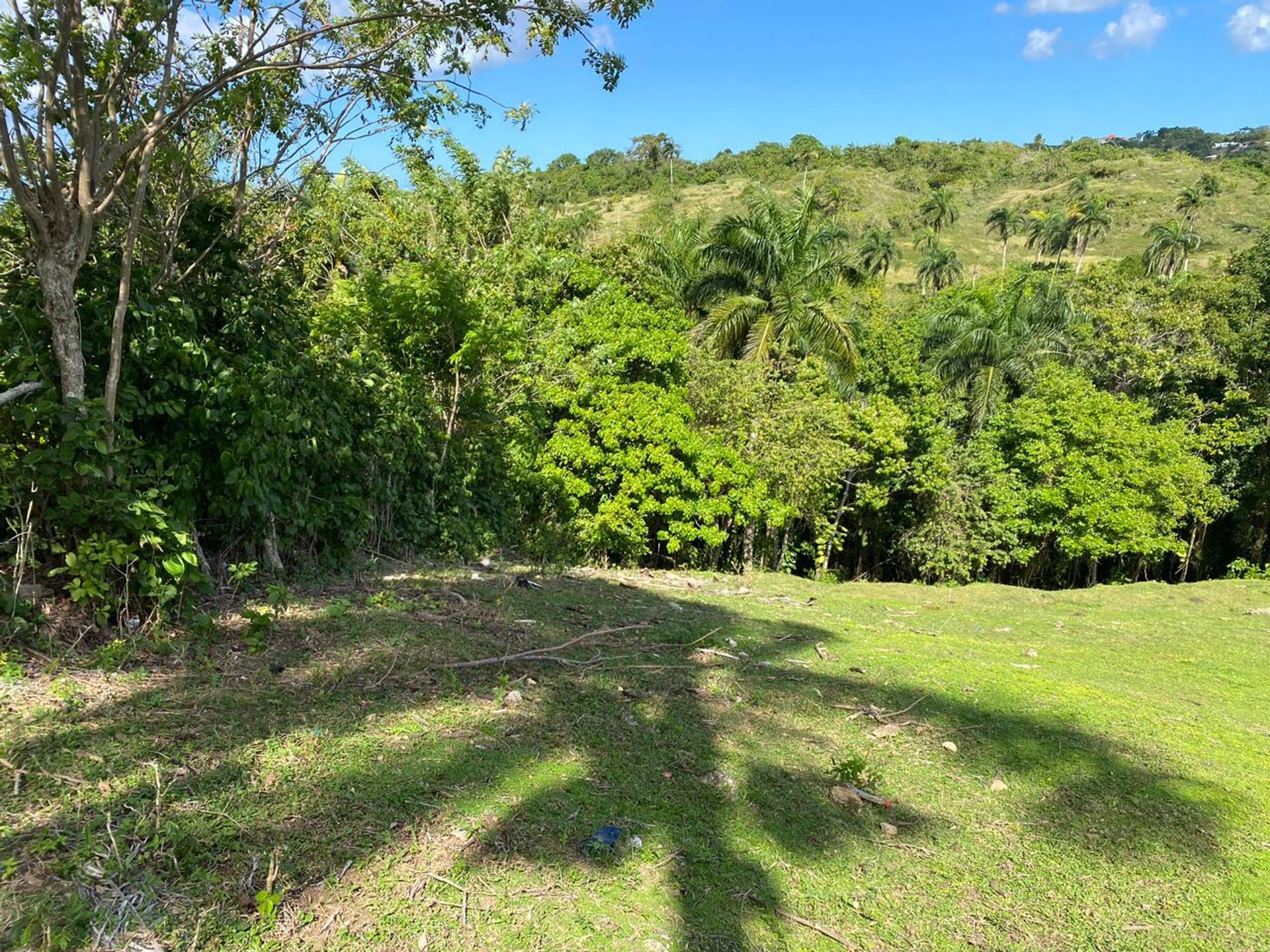 Listing image 11