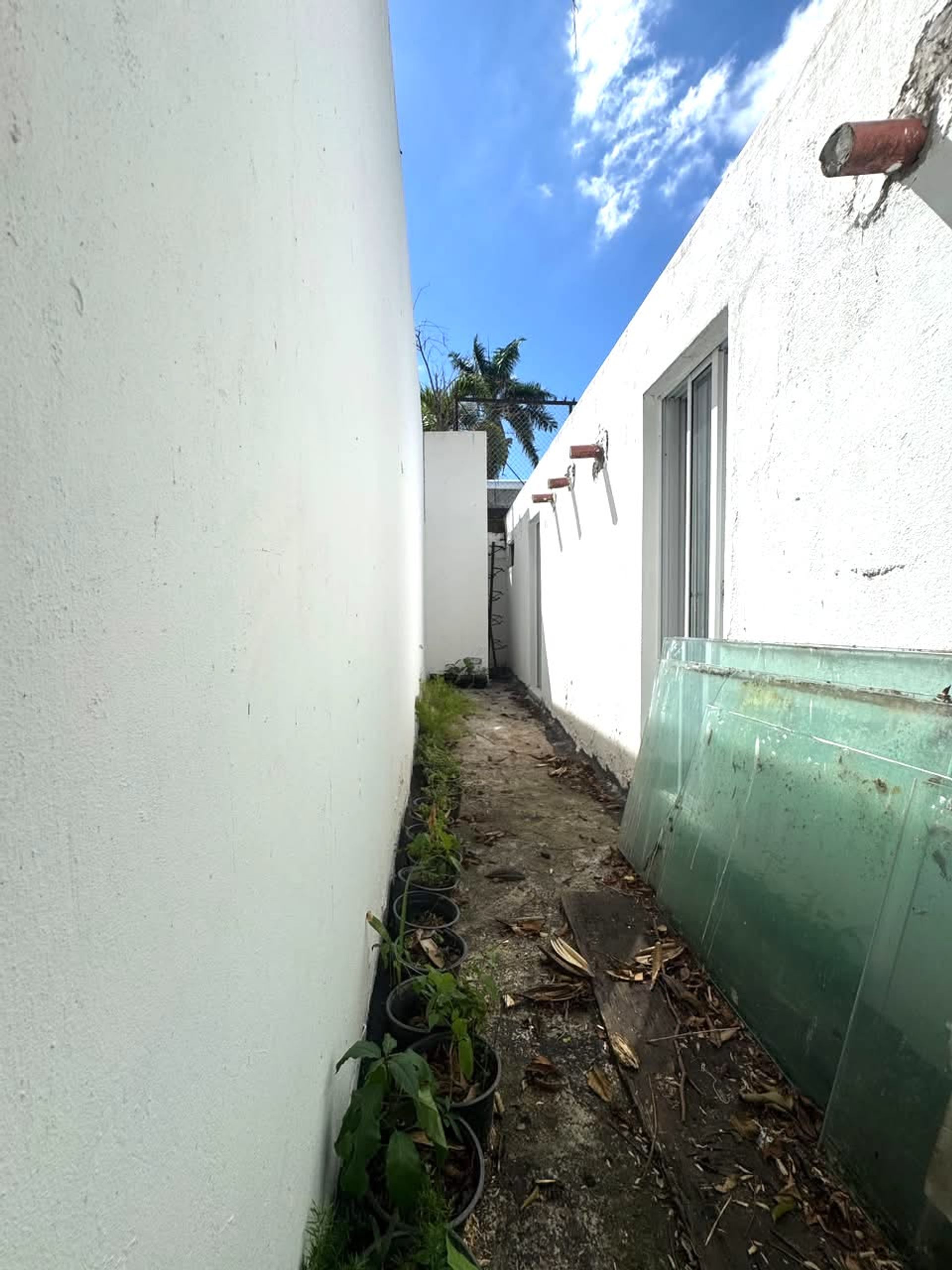 Listing image 24