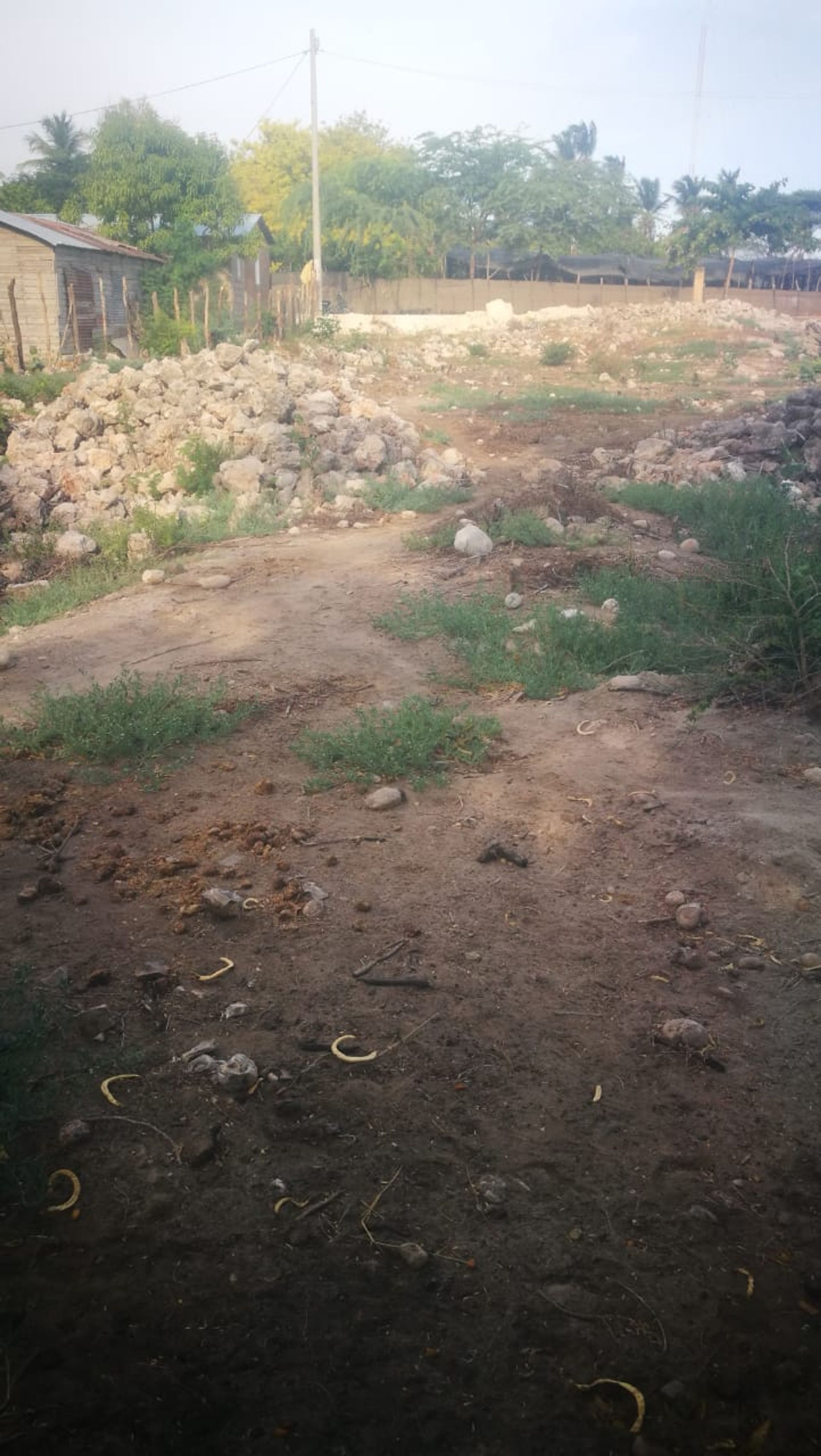 Listing image 18