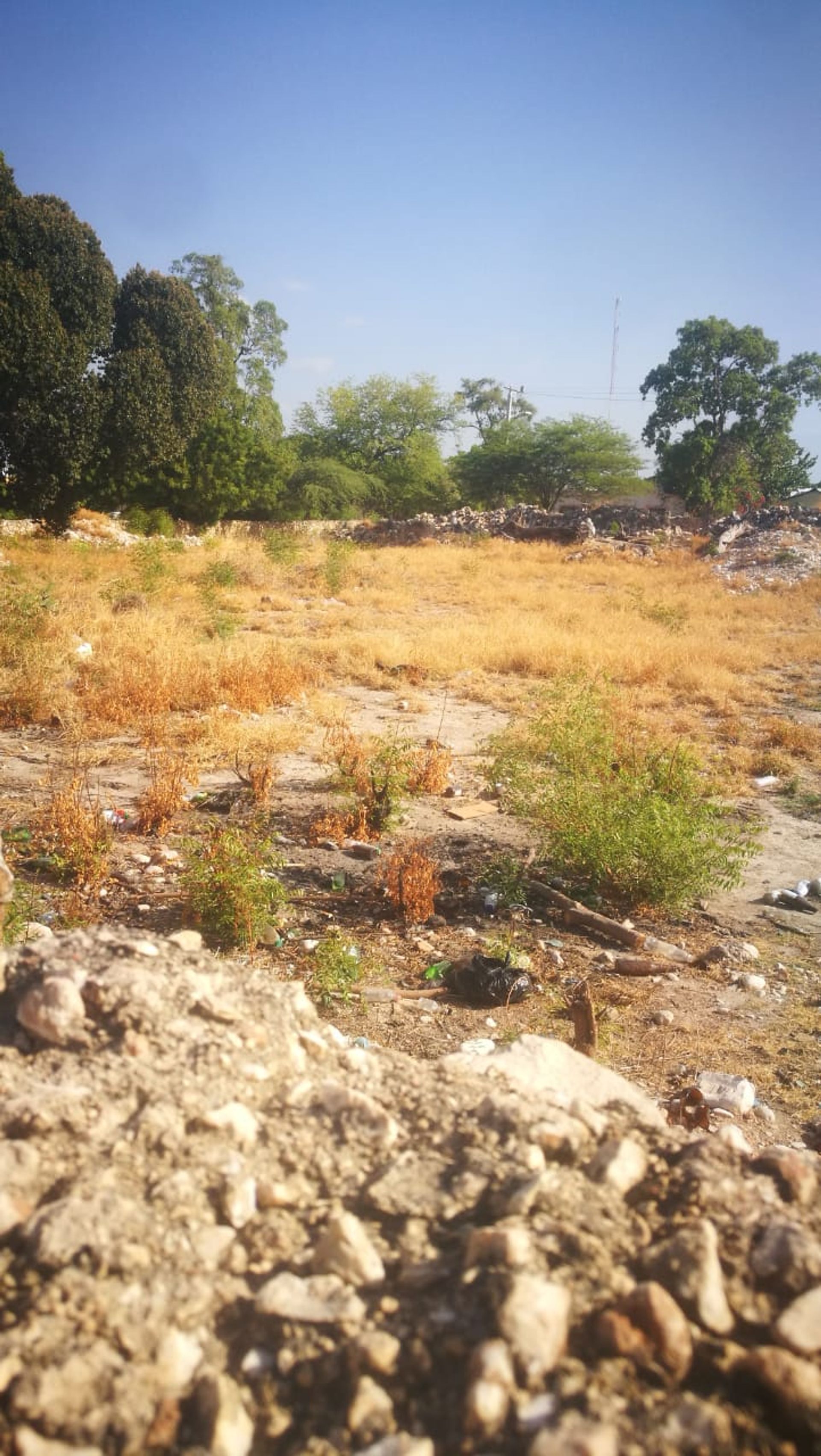 Listing image 6