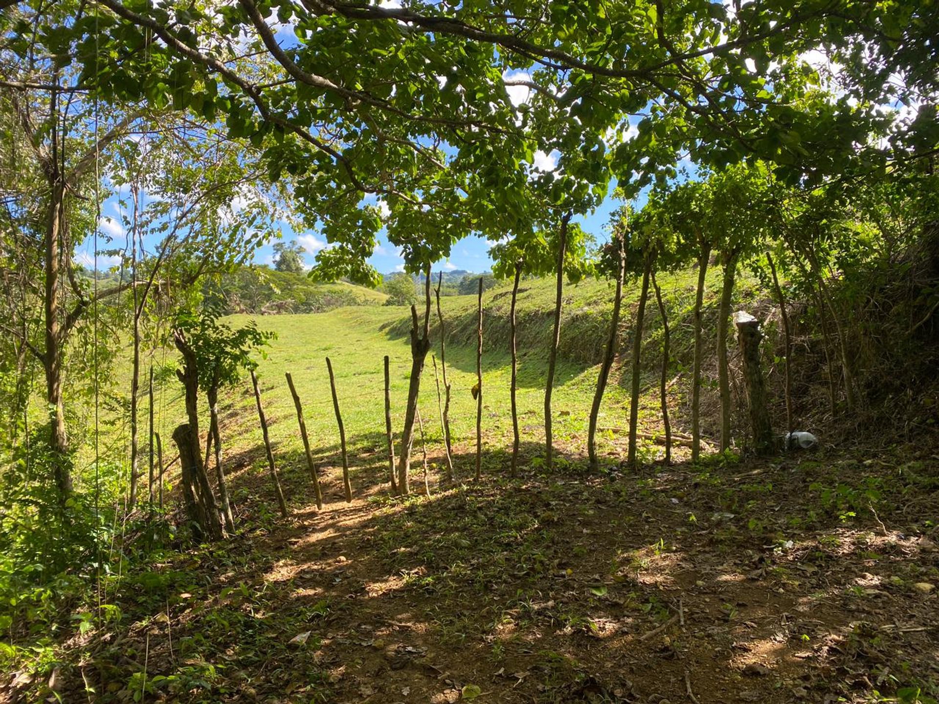 Listing image 6