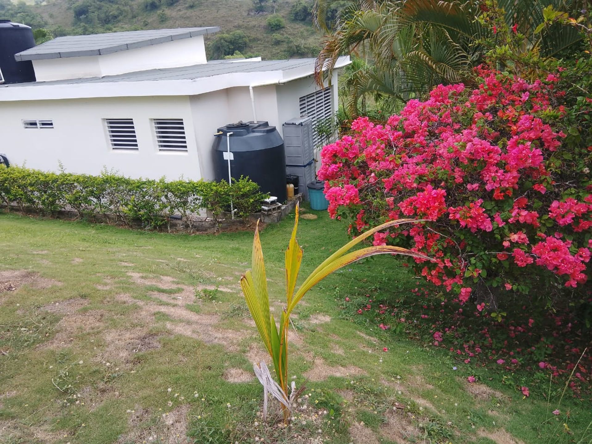 Listing image 6