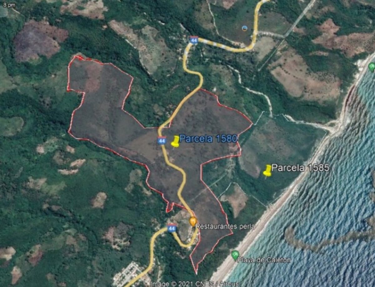 Listing image 2
