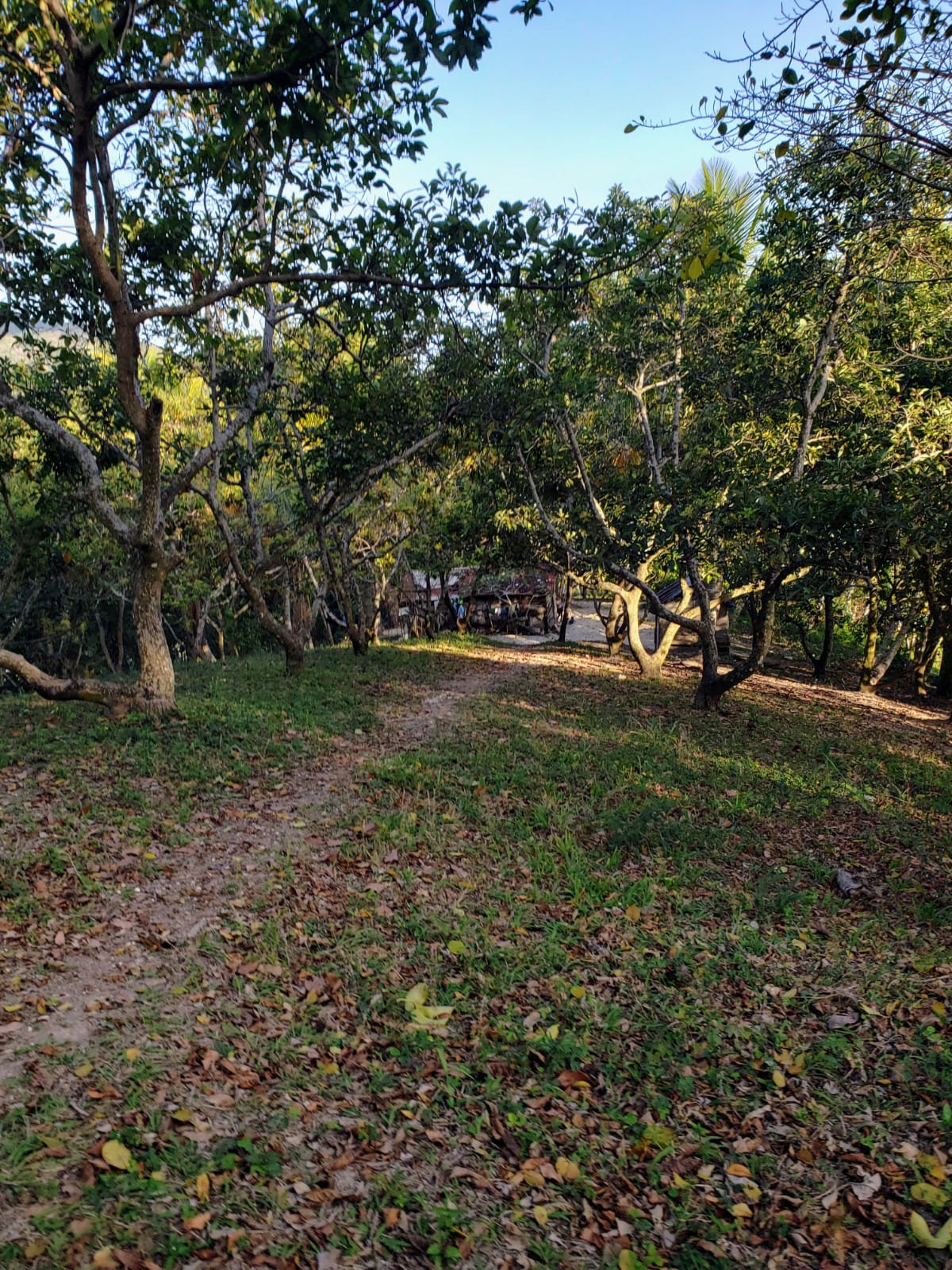Listing image 8