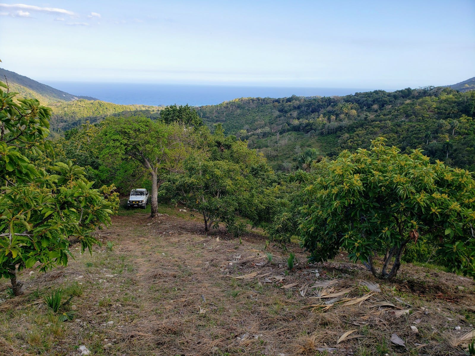 Listing image 9