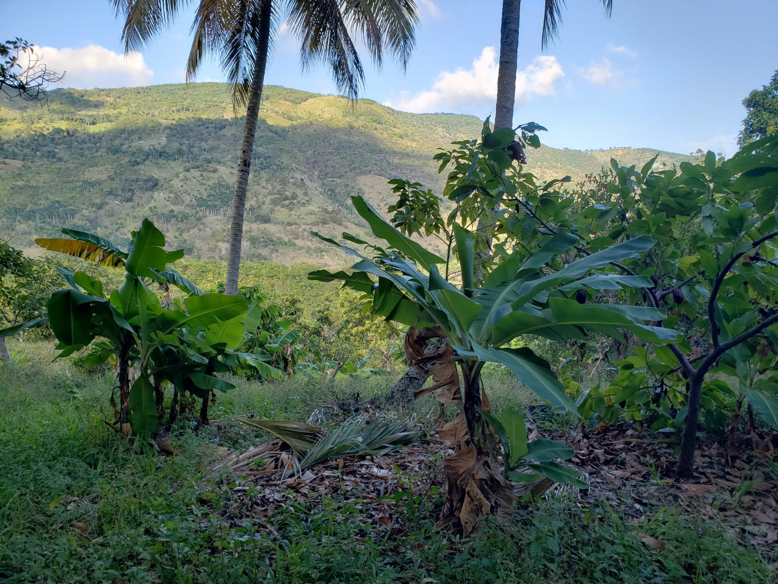 Listing image 11