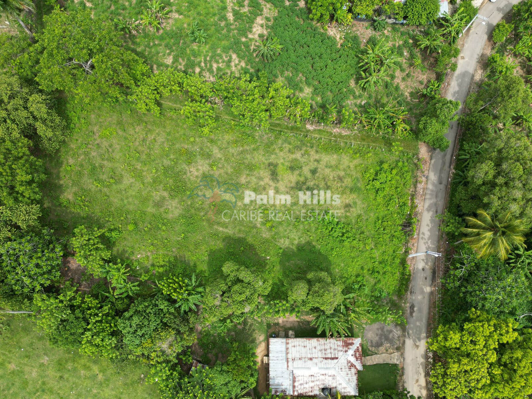 Listing image 7