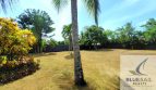 Listing image 100
