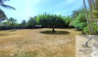 Listing image 101