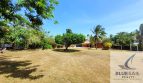 Listing image 102