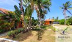 Listing image 107